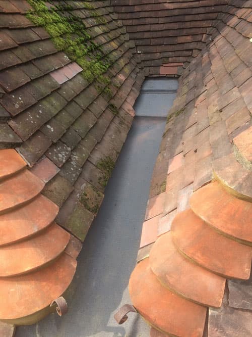 Roof Job - After